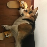 积极向下