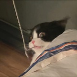 尔町