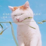 学习使我快乐吗