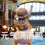 如此，安好
