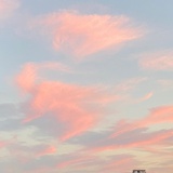 秋ジン