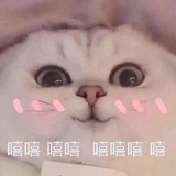 豆友75476403
