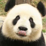 胖嗒