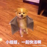 阿虎