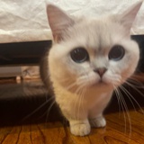 福星高照无尽夏