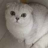 诗香诗湘