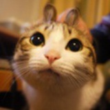 兔兔酱