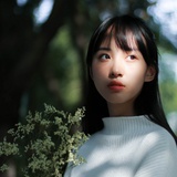 北巷九命猫