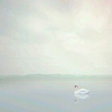 冰泉