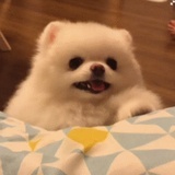 好好学英语