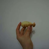 菇