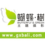 南宁巴黎蝴蝶树