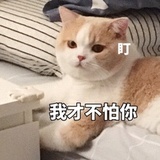 已注销