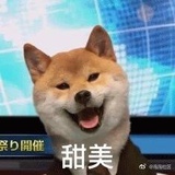 大型犬爱好者