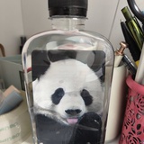 噗噜噗噜冒泡泡