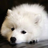 孩子气的神
