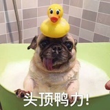 孔方
