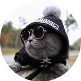 探花猫