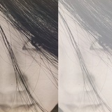 林晚风