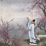 醉卧兰亭