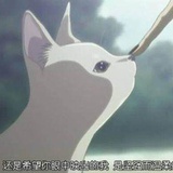 糖虎虎