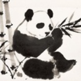 虫
