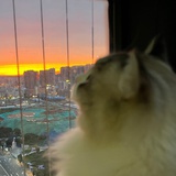 今天吃什么
