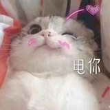 viki