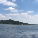 流浪