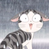 猫...薄荷