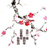 淡月霜华
