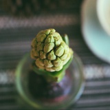 毒