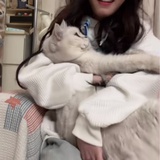 叶暮