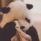 随便吃吃瓜