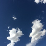 昵称