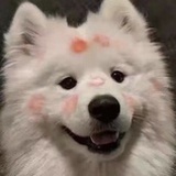 Matcha绵绵冰