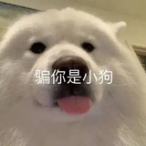划水大师