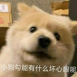 一颗卤蛋