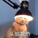呔。