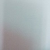 龙
