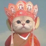 杜若与酒