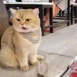 ୧⍤⃝动感小咸蛋