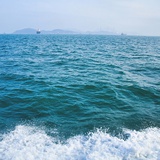 或海