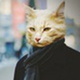 猫腹蛇大人