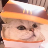 鸩酒