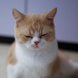 Anniejan