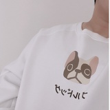 灿er