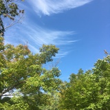 三个夏天