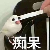 人生苦短