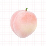 会仰泳的鱼